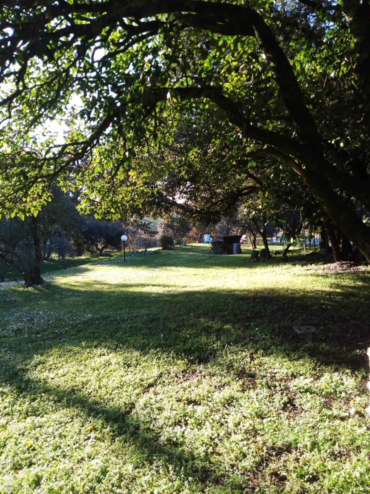 Agriturismo La Torre Di Monsindoli Siena Eksteriør bilde